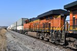 BNSF 4219 Roster shot.